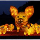 황금돼지 - 화성시 수노을중앙로 136 | 황금돼지