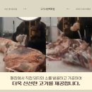 싱싱생고기정육점