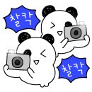 드루와드루와PC | [대구] 수성구 청년지원 사업 수성대 수성구청년센터 수성사진관 무료 증명사진 촬영 후기