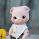 베베앙드레 이미지