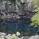 중문진실캠핑장 이미지