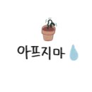 둥이다육