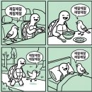 황금짬뽕 이미지