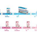 로얄퍼피 이미지