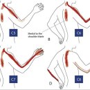 유태원한의원 이미지