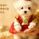 도그플러스 동물병원(미유펫 대구점) 이미지