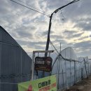 다혜농장 이미지