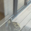 웰컴투송계리 이미지