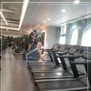 강해GYM 이미지