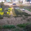 강릉-주문진항구 인근 펜션 및 가든 적합한 밭 784평(절반) 이미지