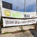 연곡리 주차장 이미지