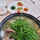 미운오리농장 | 문경 구랑리역 맛집 문경백숙 미운오리새끼