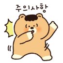 피크투어