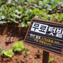 순천만 쉼표 이미지