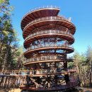 전망대로 이미지