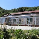 하슬라캠핑장 이미지