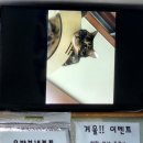 소운빙 - 서초구 신반포로 50 | 한티역 빙수 맛집 소운빙 | 내돈내산 빙수 후기