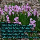 아브라함의 상속자들