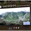 청태산휴양림 이미지