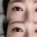 두호고등학교 | 1:1 꼼꼼한 시술 포항 속눈썹 추천 | 연장 받으러 갔다가 감동 제대로 받고 온 후기.