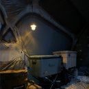 1360 | 브런스카일 1360 텐트 첫 피칭 후기 (장단점 리뷰)