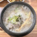 금성녹두삼계탕 | 더운여름 부산시청점심 금성녹두삼계탕에서 몸보신 후기