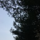 서대문종합사회복지관 화장실(신관1층) | 서울시, 174개 공공시설 `이동약자 전용 지도` 개발…최단경로, 편의시설 한눈에