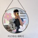 비비드봉