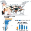 라이프에듀 이미지