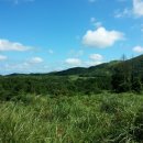 구좌공설묘지 이미지