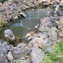 이서면사무소 앞 이미지