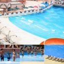 2014-주041 이미지