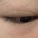 아리묘 | 아이리쥬란 1회차 후기 - 눈두덩이까지