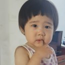 에이치린 이미지