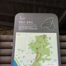 휘경2동주민센터 건너편 배봉산둘레길 입구 이미지