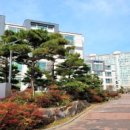 성주부동산공인중개사사무소 이미지