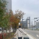 수원-0004 | 임신 18주에 떠나는 후쿠오카 태교여행일기 1일차 (+티웨이 임산부 사전좌석지정 혜택누리기)