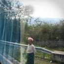 남국농장 이미지