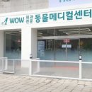 와우동물병원
