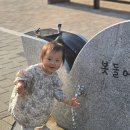 앤쇼핑 | 슈슈앤크라 세일 쇼핑 후기 22개월 3y 구입