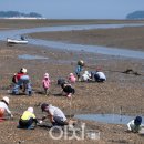 장사어촌계(장사어촌체험마을) 이미지