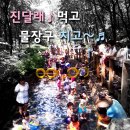 진달래먹고물장구치고 이미지