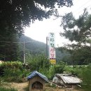 잣나무산장 이미지