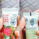 식물나라 이미지