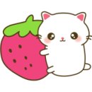 서공동물병원 이미지