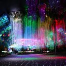 대전오월드 이미지