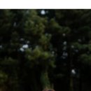 서귀포웨딩홀 이미지