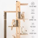 쫑이네 | 2025 냥냥펀치 캣쇼 일산 | 쫑이네 여집사가 기대하는 부스/업체 리스트