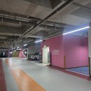 토당로 | 크레스티드 게코 분양 후기 고양 파충류 샵 크레윙 능곡점 방문기