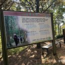 미평종합복지관 | 순천 등산 미평 봉화산 방문후기